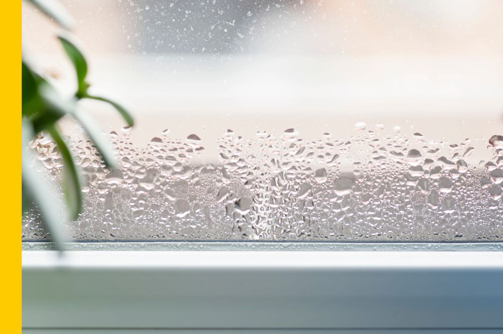 Éviter la condensation sur les fenêtres et gérer l'humidité